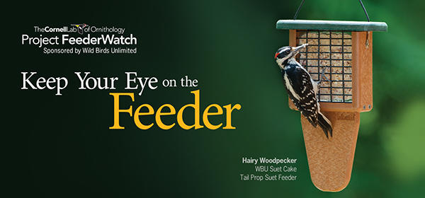 We're Sponsoring Project FeederWatch & BirdSpotter Photo Contest